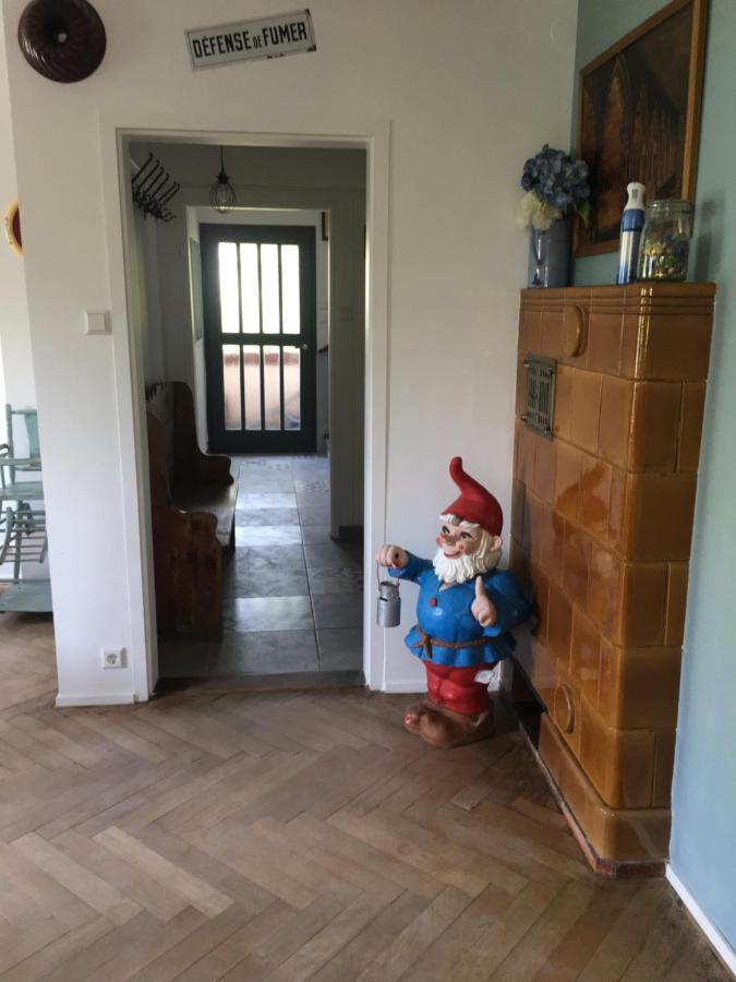 Chalet Montsegur Βίλα Κολμάρ Εξωτερικό φωτογραφία